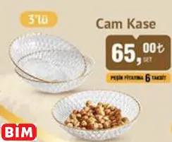 COLORİNA CAM KASE